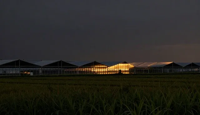 技术成果转化中的技术架构设计误区及应对策略