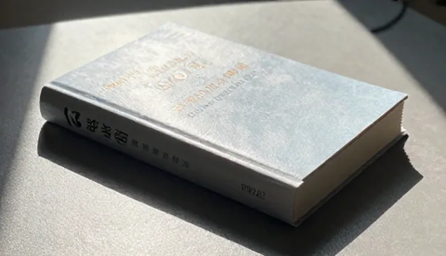 定制系统集成方案的使用建议与适用场景分析